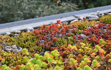 the cost of Wingmore green roof installation