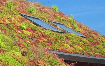 Wingmore living roof systems